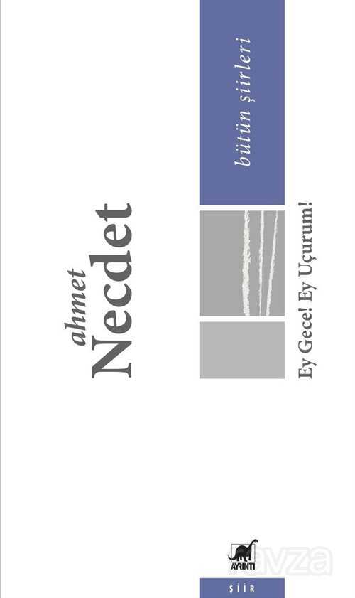 Ey Gece Ey Uçurum - Ayrıntı Yayınları