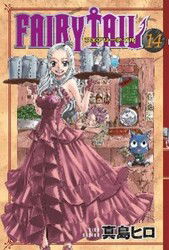 Fairy Tail Cilt 14 - Gerekli Şeyler