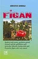 Figan - 1