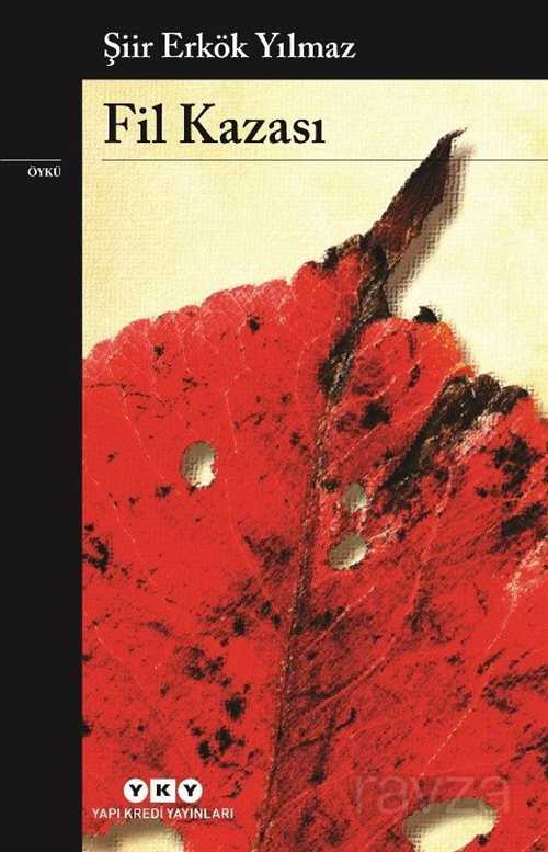 Fil Kazası - Yapı Kredi Yayınları