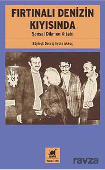 Fırtınalı Denizin Kıyısında - Ayrıntı Yayınları