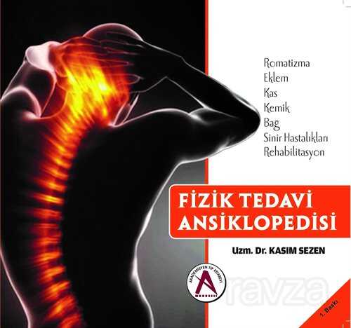 Fizik Tedavi Ansiklopedisi - Akademisyen Kitabevi
