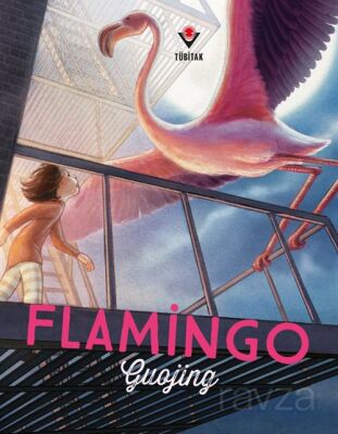 Flamingo - 1