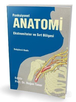 Fonksiyonel Anatomi Ekstremiteler ve Sırt Bölgesi - 1