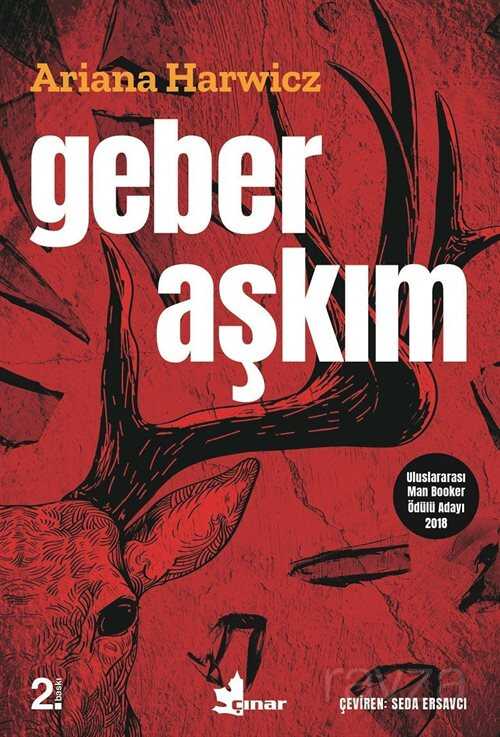 Geber Aşkım - Çınar Yayınları