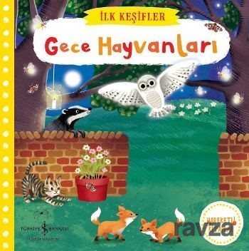 Gece Hayvanları / İlk Keşifler - 1