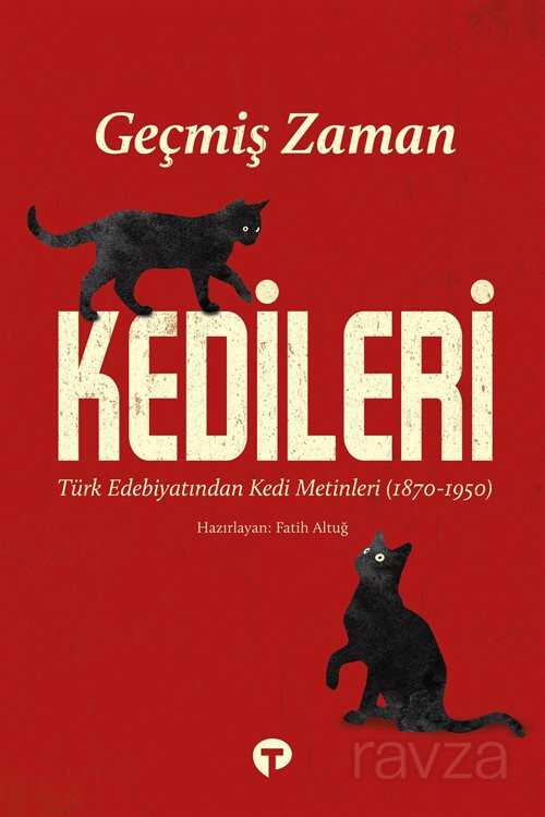 Geçmiş Zaman Kedileri - Turkuvaz Kitap