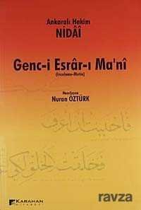 Genc-i Esrar-ı Ma'ni (İnceleme-Metin) - 1
