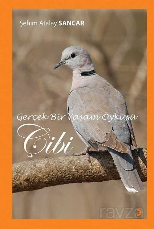 Gerçek Bir Yaşam Öyküsü Çibi - 1