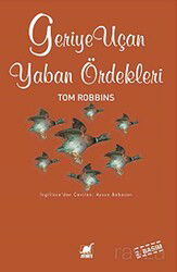 Geriye Uçan Yaban Ördekleri - Ayrıntı Yayınları