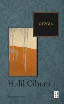 Gezgin - 1