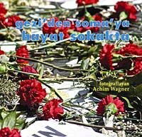 Gezi'den Soma'ya Hayat Sokakta - Nika Yayınevi