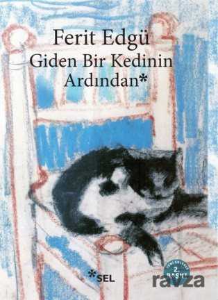 Giden Bir Kedinin Ardından - 1