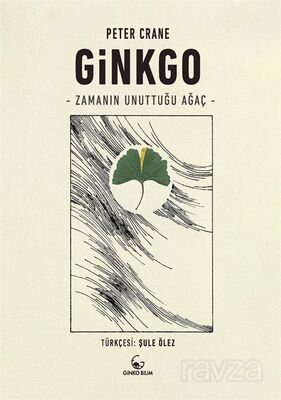 Ginkgo - 1