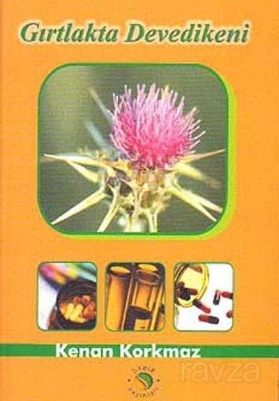 Gırtlakta Devedikeni - Sabır Yayınları