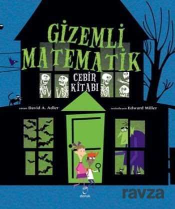 Gizemli Matematik - Doruk Yayınları