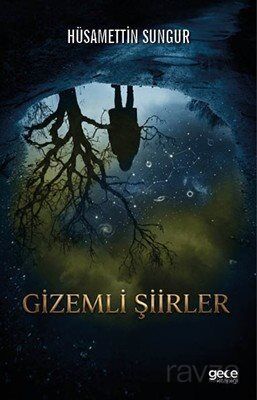 Gizemli Şiirler - 1