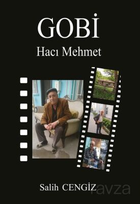 Gobi - 1