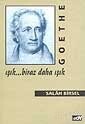 Goethe: Işık... Biraz Daha Işık - Broy Yayınevi