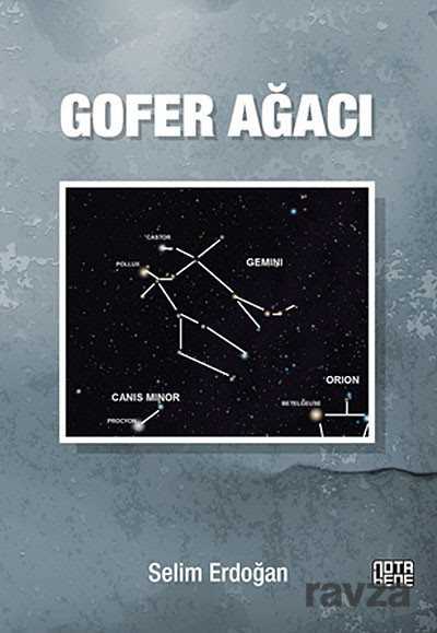 Gofer Ağacı - Notabene Yayınları