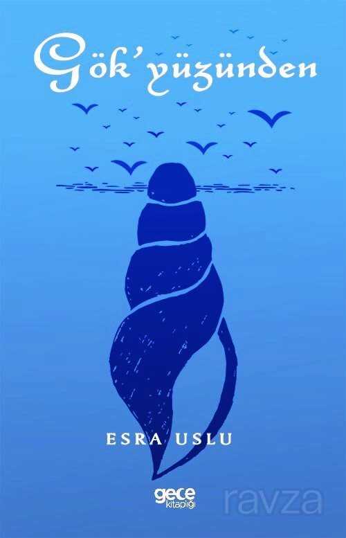 Gök'yüzünden - Gece Kitaplığı