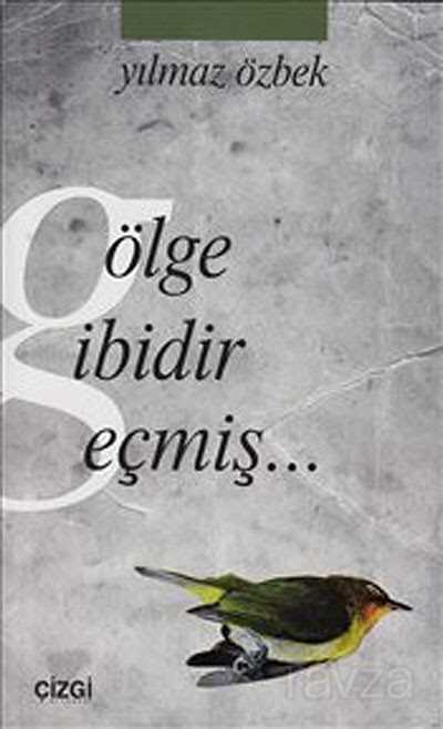 Gölge Gibidir Geçmiş - Çizgi Kitabevi