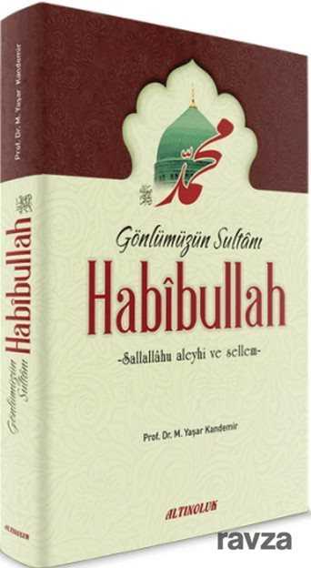Gönlümüzün Sultanı Habibullah (s.a.s.) - Erkam Yayınları
