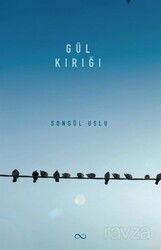 Gül Kırığı - Bengisu Yayınları