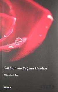 Gül Üstünde Yağmur Damlası - 1