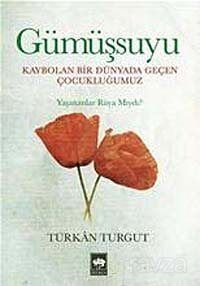 Gümüşsuyu - 1