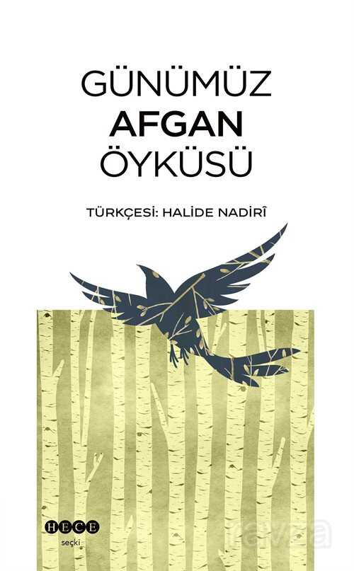 Günümüz Afgan Öyküsü - Hece Yayınları