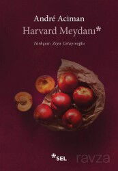 Harvard Meydanı - Sel Yayınları