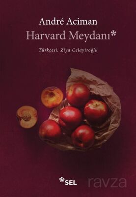 Harvard Meydanı - 1