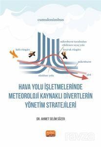 Hava Yolu İşletmelerinde Meteoroloji Kaynaklı Divertlerin Yönetim Stratejileri - 1