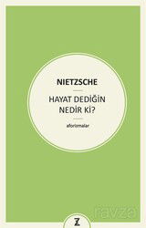 Hayat Dediğin Nedir Ki? - Zeplin