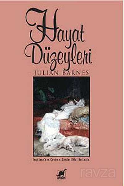 Hayat Düzeyleri - Ayrıntı Yayınları