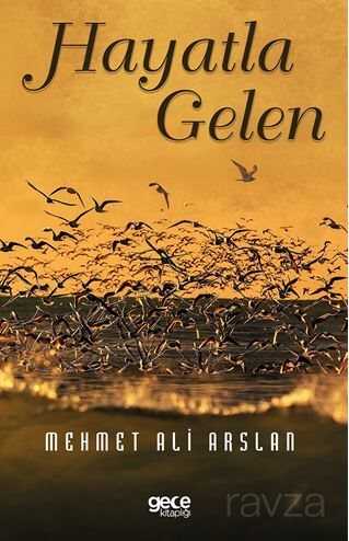 Hayatla Gelen - Gece Kitaplığı