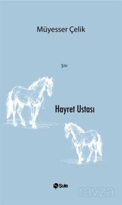 Hayret Ustası - 1
