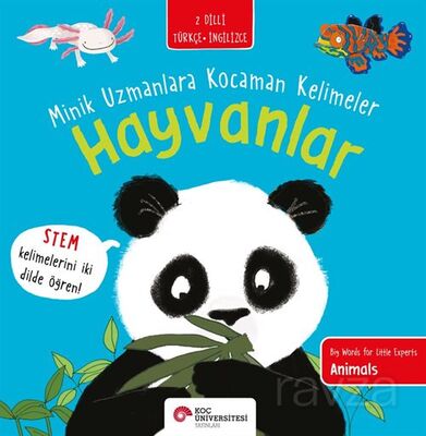 Hayvan / Minik Uzmanlara Kelimeler - 1