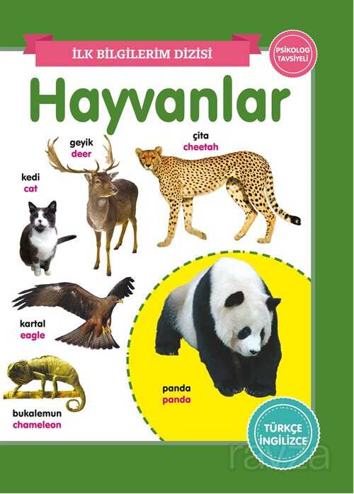 Hayvanlar / İlk Bilgilerim Dizisi - 0-6 Yaş Yayınları