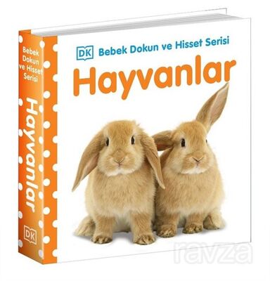 Hayvanlar / 0-2 Yaş Bebek Dokun Hisset - 1