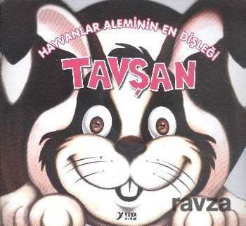 Hayvanlar Aleminin En Dişleği Tavşan - Kukla Yayınları