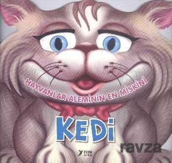 Hayvanlar Aleminin En Miskini Kedi - Kukla Yayınları