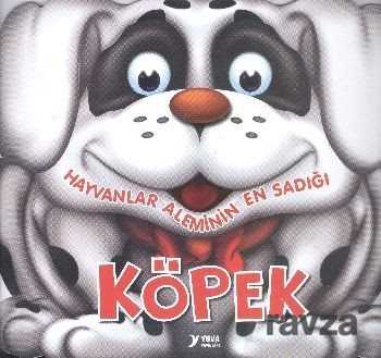 Hayvanlar Aleminin En Sadığı Köpek - Kukla Yayınları