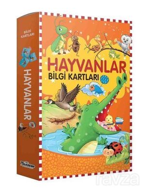 Hayvanlar Bilgi Kartları - 1