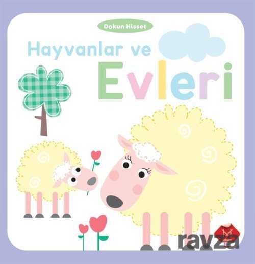 Hayvanlar ve Evleri / Dokun ve Hisset - 1