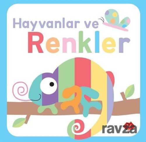 Hayvanlar ve Renkler / Dokun Hisset - 1