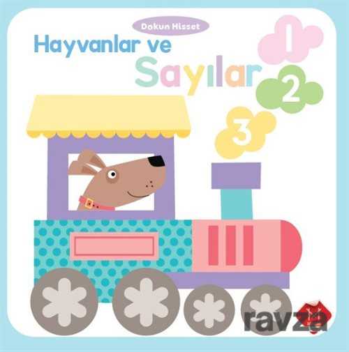 Hayvanlar ve Sayılar / Dokun ve Hisset - 1