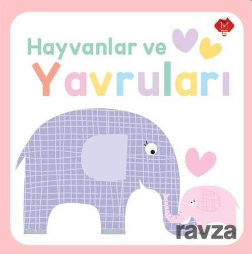 Hayvanlar ve Yavruları / Dokun Hisset - 1