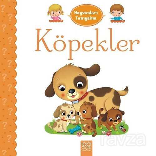 Hayvanları Tanıyalım / Köpekler - 1001 Çiçek Kitaplar